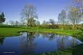 19. Rossmore Golf Club. The pond at the 2nd green.